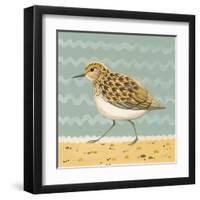 Serious Sanderling-Catriona Hall-Framed Giclee Print