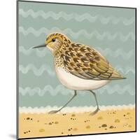 Serious Sanderling-Catriona Hall-Mounted Giclee Print
