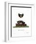 Serotine Bat-null-Framed Giclee Print