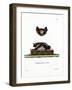 Serotine Bat-null-Framed Giclee Print