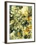 Serotonin Crystals, Light Micrograph-PASIEKA-Framed Photographic Print