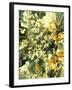 Serotonin Crystals, Light Micrograph-PASIEKA-Framed Photographic Print