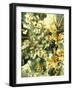 Serotonin Crystals, Light Micrograph-PASIEKA-Framed Photographic Print