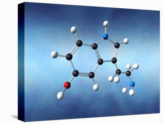 Serotonin Neurotransmitter Molecule-David Mack-Stretched Canvas