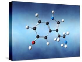 Serotonin Neurotransmitter Molecule-David Mack-Stretched Canvas