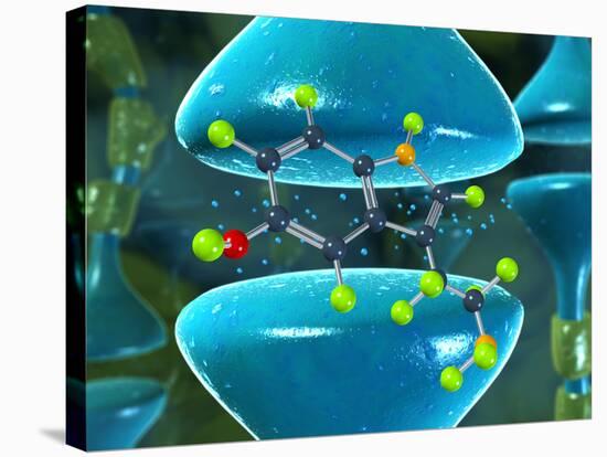 Serotonin Neurotransmitter Molecule-David Mack-Stretched Canvas