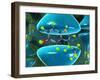 Serotonin Neurotransmitter Molecule-David Mack-Framed Premium Photographic Print