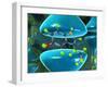 Serotonin Neurotransmitter Molecule-David Mack-Framed Premium Photographic Print