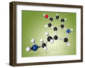 Serotonin Neurotransmitter Molecule-Miriam Maslo-Framed Photographic Print