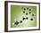 Serotonin Neurotransmitter Molecule-Miriam Maslo-Framed Photographic Print