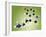 Serotonin Neurotransmitter Molecule-Miriam Maslo-Framed Photographic Print