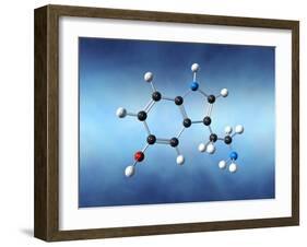 Serotonin Neurotransmitter Molecule-David Mack-Framed Photographic Print