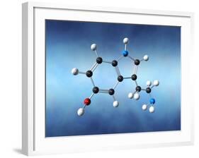 Serotonin Neurotransmitter Molecule-David Mack-Framed Photographic Print