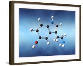 Serotonin Neurotransmitter Molecule-David Mack-Framed Photographic Print