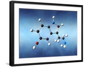 Serotonin Neurotransmitter Molecule-David Mack-Framed Photographic Print