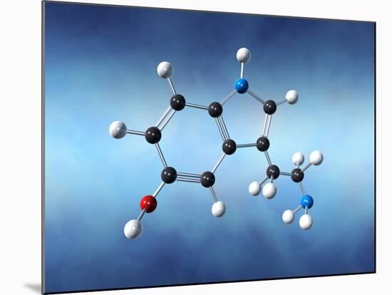 Serotonin Neurotransmitter Molecule-David Mack-Mounted Photographic Print