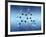 Serotonin Neurotransmitter Molecule-David Mack-Framed Photographic Print