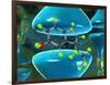 Serotonin Neurotransmitter Molecule-David Mack-Framed Photographic Print