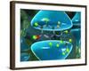 Serotonin Neurotransmitter Molecule-David Mack-Framed Photographic Print