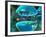 Serotonin Neurotransmitter Molecule-David Mack-Framed Photographic Print