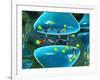 Serotonin Neurotransmitter Molecule-David Mack-Framed Photographic Print