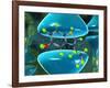 Serotonin Neurotransmitter Molecule-David Mack-Framed Photographic Print