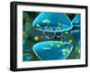 Serotonin Neurotransmitter Molecule-David Mack-Framed Photographic Print