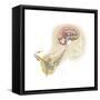 Serotonin Released in the Brain Travels Down the Spinal Cord-null-Framed Stretched Canvas