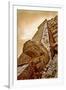 Serpent Head and Long Stairway on Pyramid of Kukulcan-Thom Lang-Framed Photographic Print