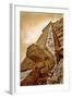 Serpent Head and Long Stairway on Pyramid of Kukulcan-Thom Lang-Framed Photographic Print