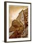 Serpent Head and Long Stairway on Pyramid of Kukulcan-Thom Lang-Framed Photographic Print