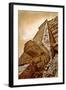 Serpent Head and Long Stairway on Pyramid of Kukulcan-Thom Lang-Framed Photographic Print