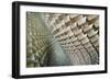 Serpentine-Linda Wride-Framed Giclee Print