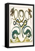 Serpents, Lizards and Birds-Albertus Seba-Framed Stretched Canvas