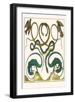 Serpents, Lizards and Birds-Albertus Seba-Framed Art Print