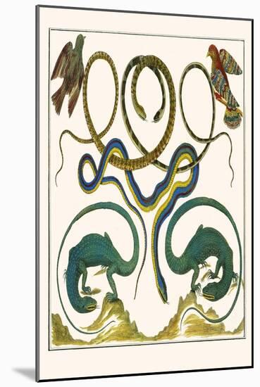 Serpents, Lizards and Birds-Albertus Seba-Mounted Art Print
