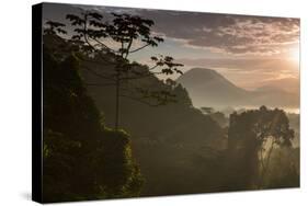 Serra Do Mar Forest in Sao Paulo State in Brazil-Alex Saberi-Stretched Canvas