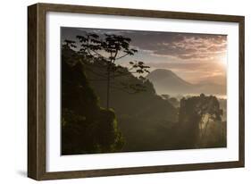 Serra Do Mar Forest in Sao Paulo State in Brazil-Alex Saberi-Framed Photographic Print