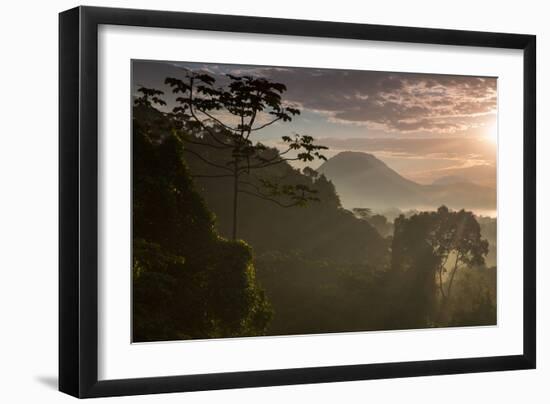 Serra Do Mar Forest in Sao Paulo State in Brazil-Alex Saberi-Framed Photographic Print