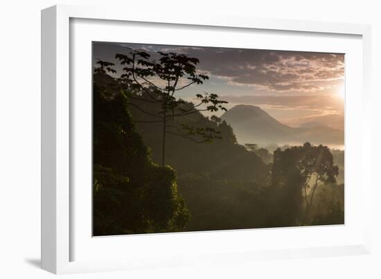 Serra Do Mar Forest in Sao Paulo State in Brazil-Alex Saberi-Framed Photographic Print