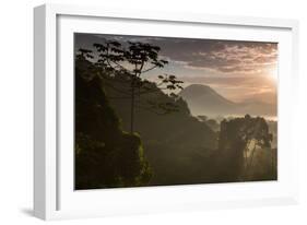 Serra Do Mar Forest in Sao Paulo State in Brazil-Alex Saberi-Framed Photographic Print