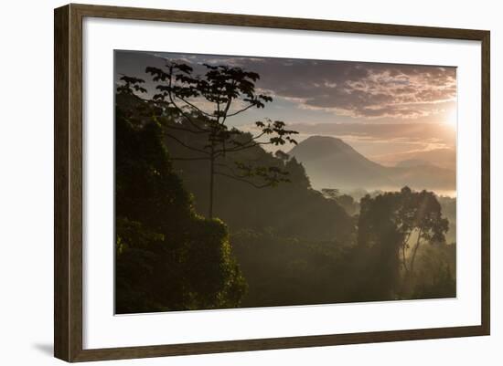 Serra Do Mar Forest in Sao Paulo State in Brazil-Alex Saberi-Framed Photographic Print