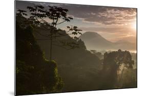 Serra Do Mar Forest in Sao Paulo State in Brazil-Alex Saberi-Mounted Photographic Print