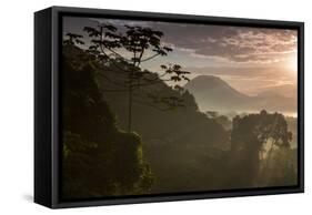 Serra Do Mar Forest in Sao Paulo State in Brazil-Alex Saberi-Framed Stretched Canvas