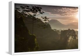Serra Do Mar Forest in Sao Paulo State in Brazil-Alex Saberi-Framed Photographic Print