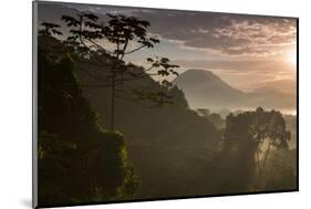 Serra Do Mar Forest in Sao Paulo State in Brazil-Alex Saberi-Mounted Photographic Print