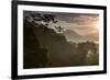 Serra Do Mar Forest in Sao Paulo State in Brazil-Alex Saberi-Framed Photographic Print