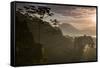 Serra Do Mar Forest in Sao Paulo State in Brazil-Alex Saberi-Framed Stretched Canvas