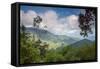 Serra Do Mar Jungle in Sao Paulo State-Alex Saberi-Framed Stretched Canvas