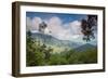 Serra Do Mar Jungle in Sao Paulo State-Alex Saberi-Framed Premium Photographic Print